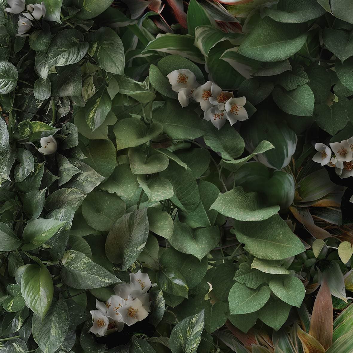 Mariner Italien Dekore Fliesen Orientalische Motive bei HÜTO Fliesen & Natursteine Thomas Hübner
